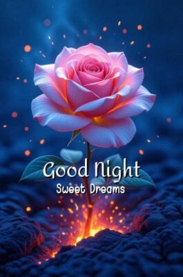 Good Night Have Sweet Dreams Image