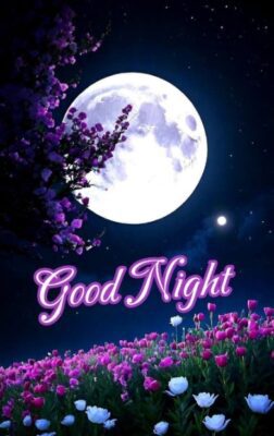 Whatsapp Good Night Images