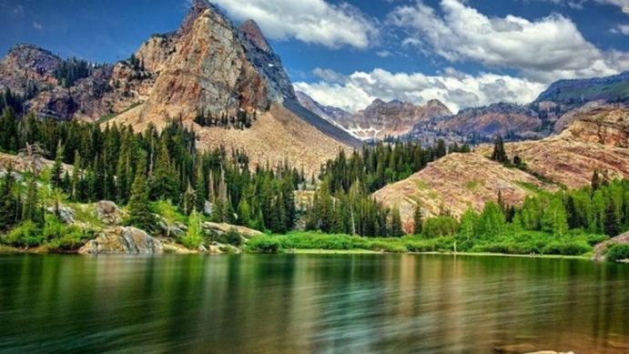 Aesthetic Wallpaper adds charm to phone