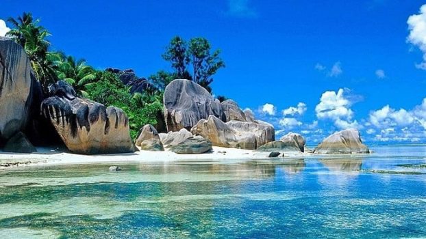 Aesthetic Wallpaper gives calm and pretty vibes