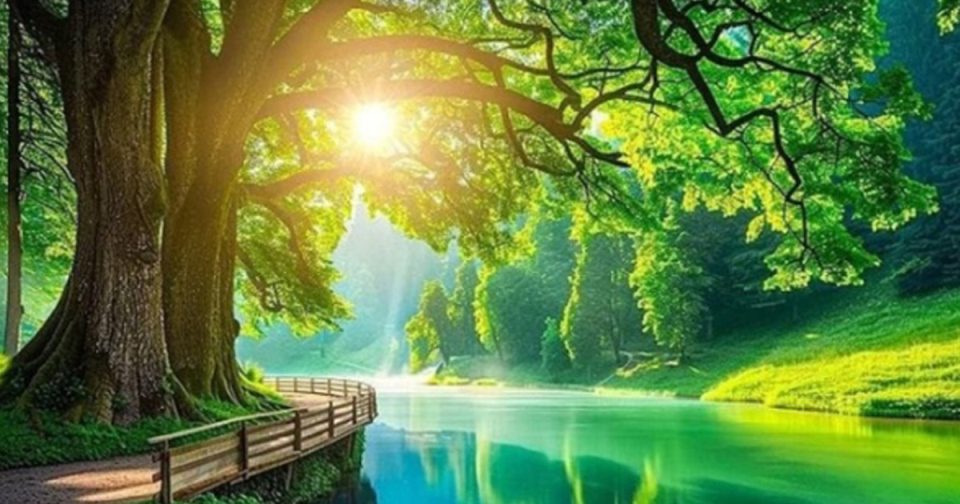 Aesthetic Wallpapers