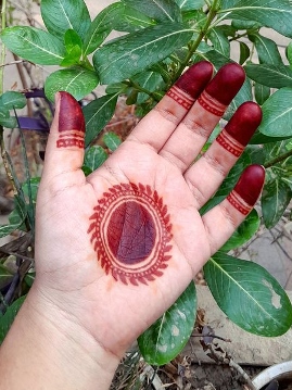 Brides often prefer a Royal Front Hand Mehndi Design for special events