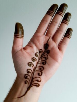 Creative artists love Henna New Mehndi Design