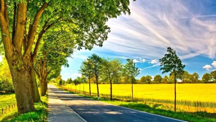 Dark Aesthetic Wallpaper gives bold look