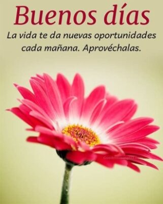 Everyone Feels Happy When They Hear Good Morning In Spanish