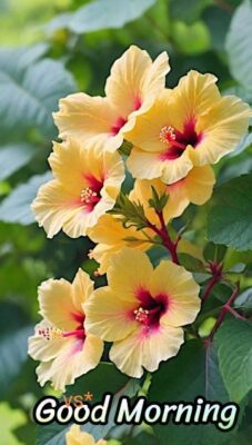 Good Morning Gif is cozy