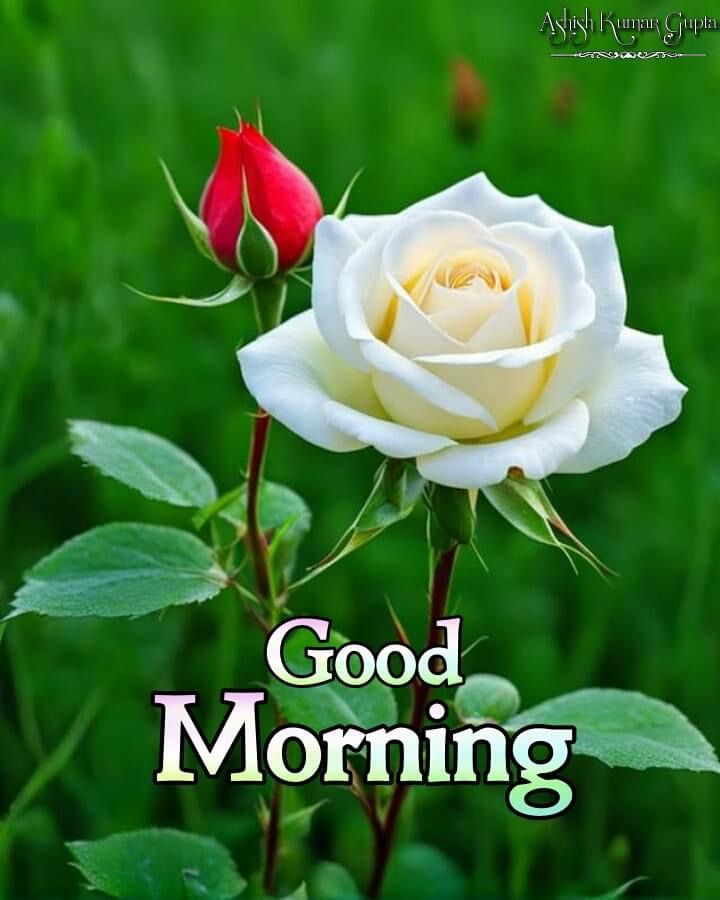 Good Morning Images New