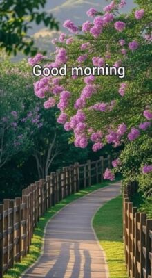 Lovely Good Morning Gif shows care