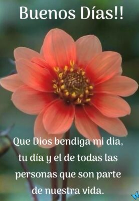 Start Your Day Cheerfully By Saying Good Morning In Spanish