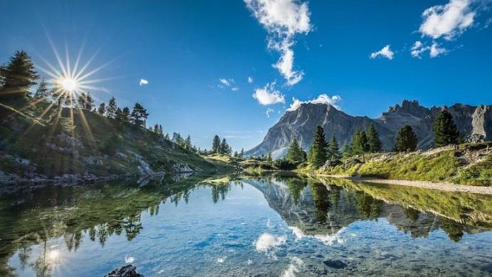 Vintage Aesthetic Wallpaper looks unique