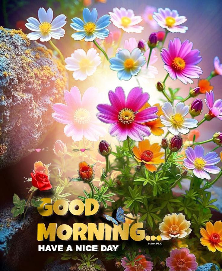 A cheerful Good Morning helps begin the day positively