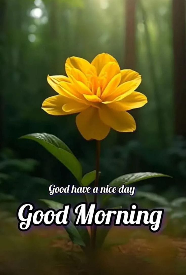 A heartfelt Good Morning shows care and kindness