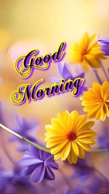 Aesthetic Good Morning Images look perfect on social media