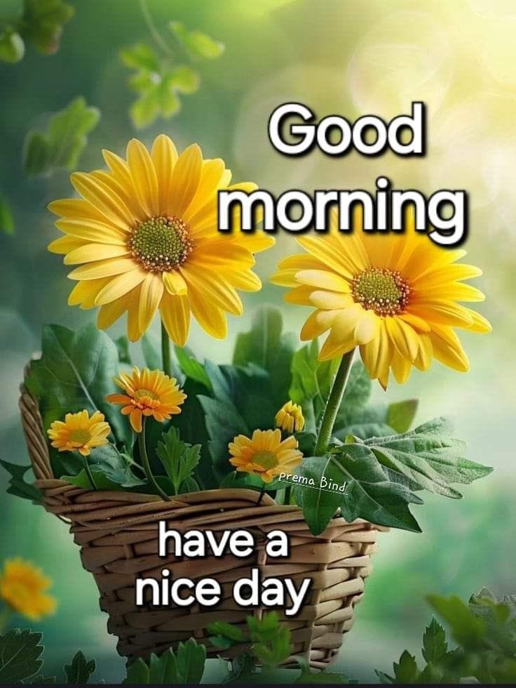 Motivational Good Morning Images inspire a productive morning