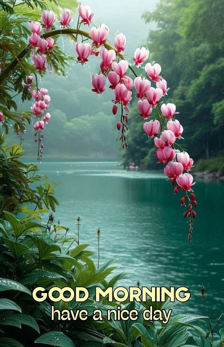 People love sharing Good Morning Images to spread positivity