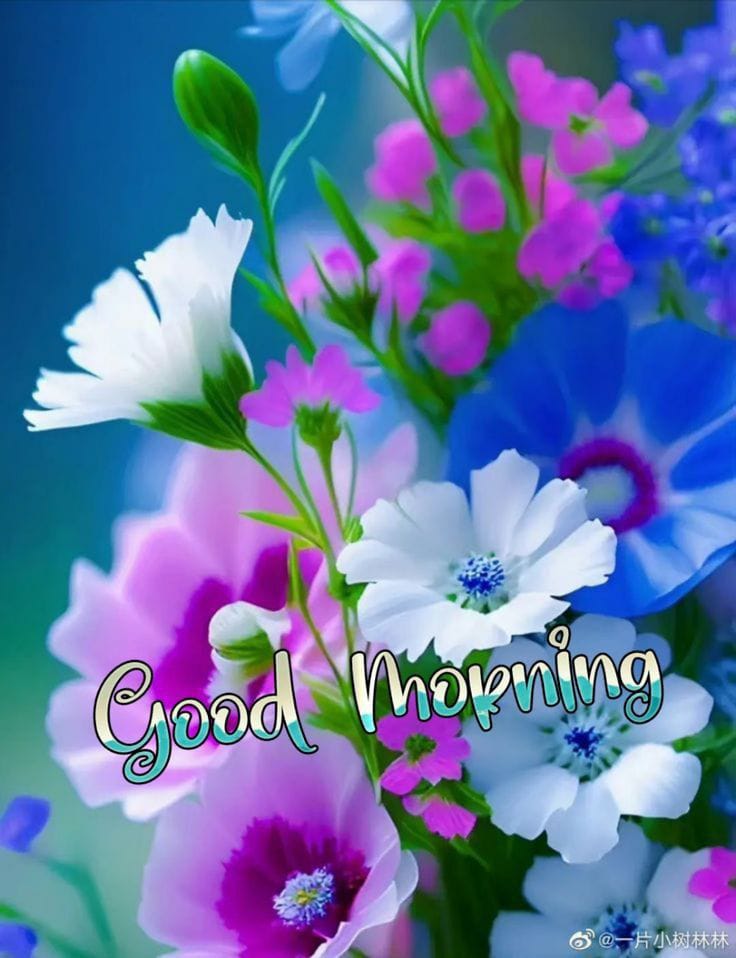 Stylish Good Morning Images add charm to your greetings
