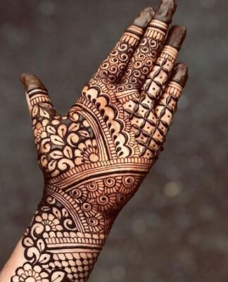Mehndi Design Photo displays elegant finger patterns