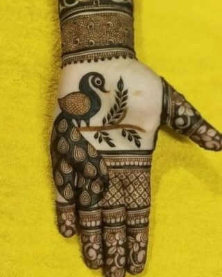 Mehndi Design Photo suits both front and back hands