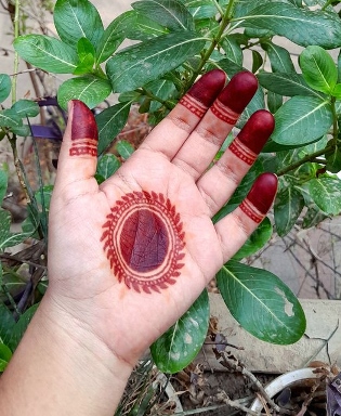 Mehndi Design Simple gives a neat appearance