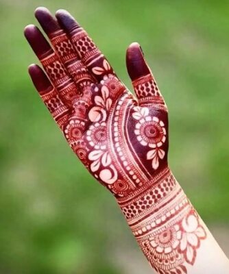 Mehndi Design Photo captures traditional mehndi art